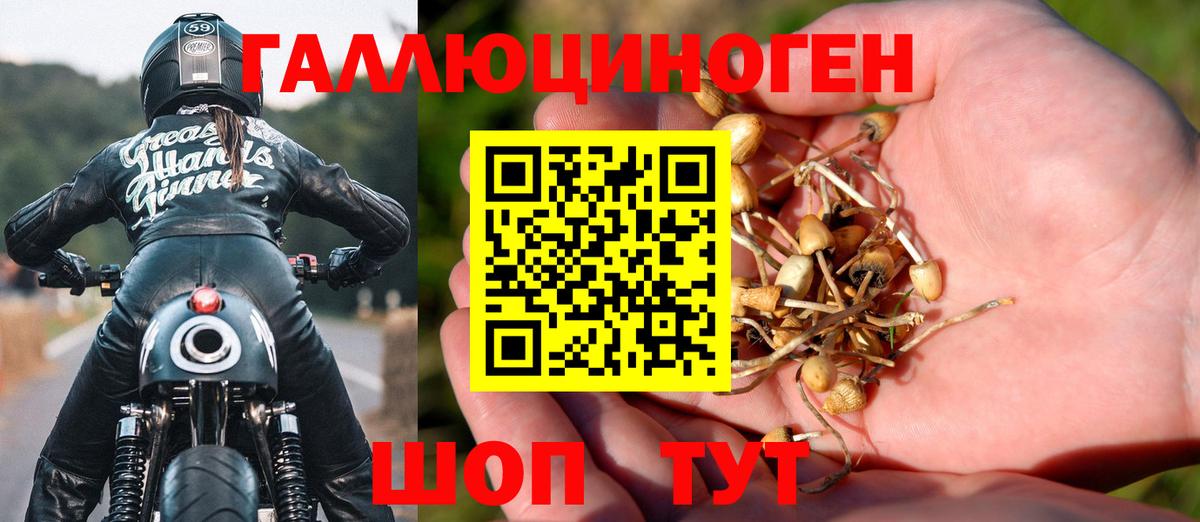 Галлюциногенные грибы Psilocybine cubensis  Вход с VPN  где купить наркоту  Сосновоборск 