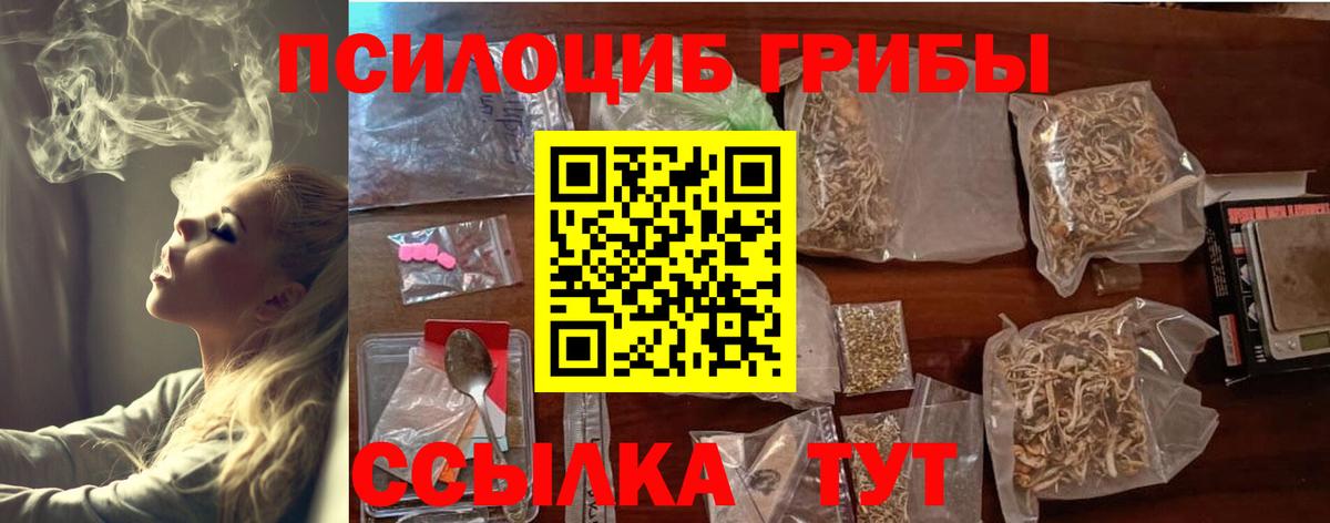 Галлюциногенные грибы Psilocybe Сосновоборск